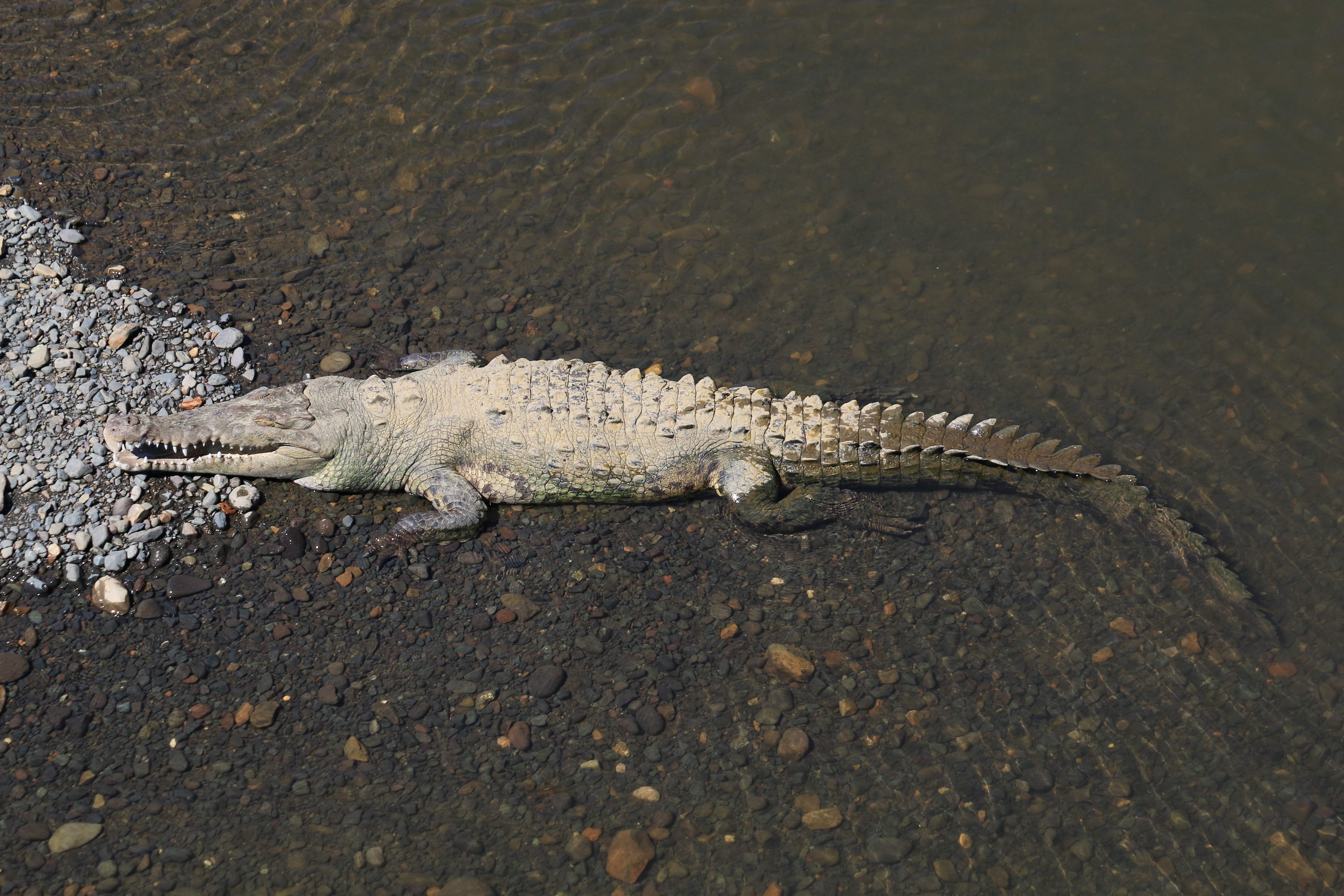 Costa Rica
